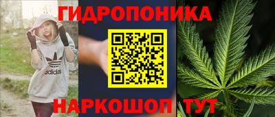 ПСИЛОЦИБИНОВЫЕ ГРИБЫ Краснодар