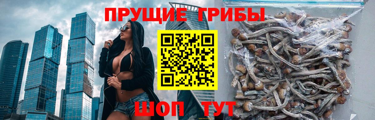 Галлюциногенные грибы Magic Shrooms Изобильный
